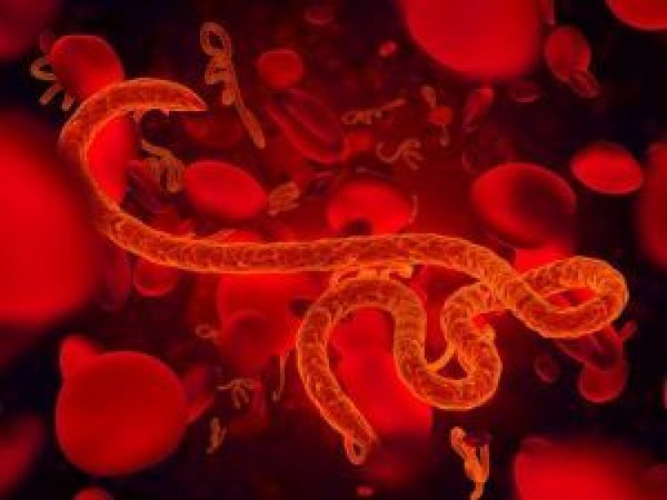 Ebola Relapse Brings New Cases