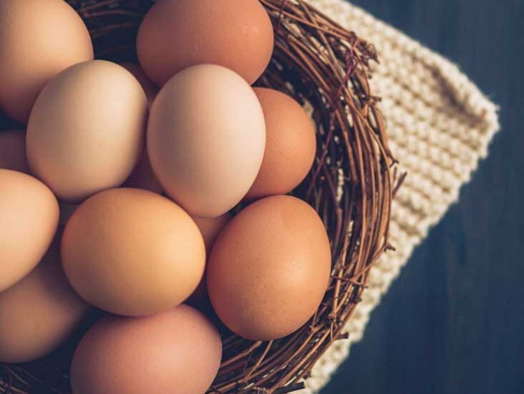 Are Eggs Really Good For Your Health? Here Is The Truth
