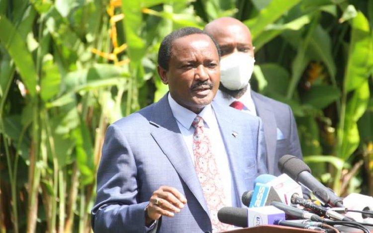 Wiper Party Leader Kalonzo Musyoka Summoned by DCI