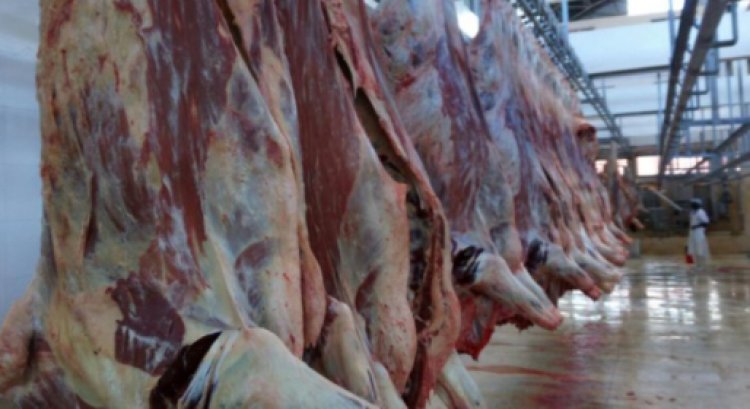 Threatening Meat Shortage as Gov't Directs Closing of all Kiamaiko Butcheries.