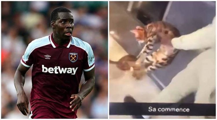 WestHam Defender Kurt Zouma condemned after a Video Emerges of him Hitting Pet Cat
