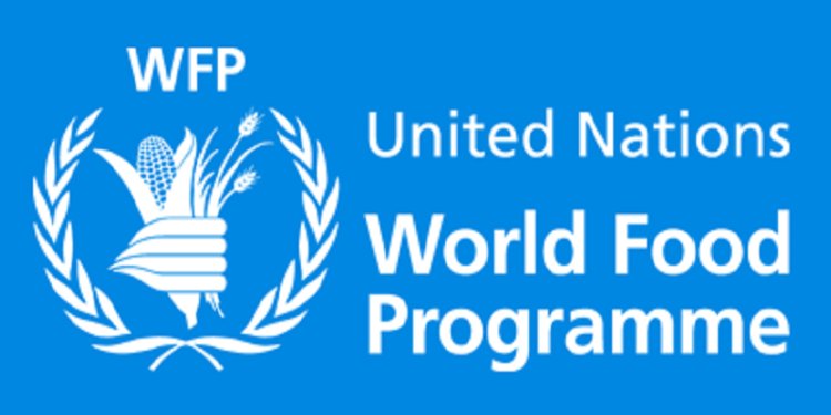 JOBS:SCOPE Service Operations Analyst at World Food Programme (WFP)