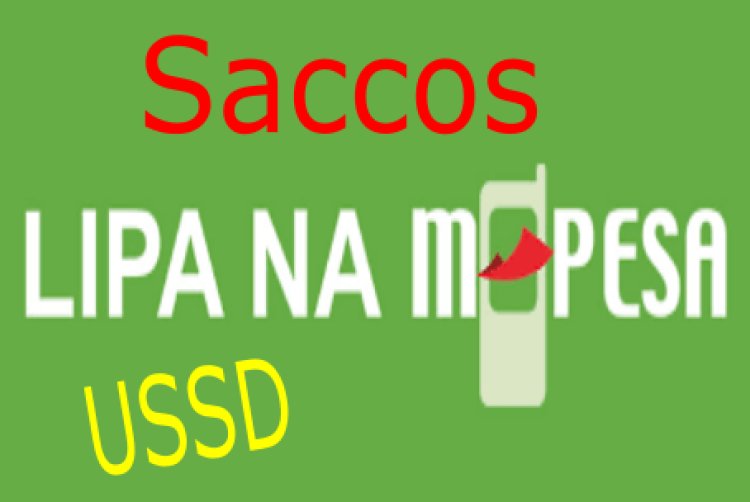 Youth Should Join , Save and Invest in Saccos