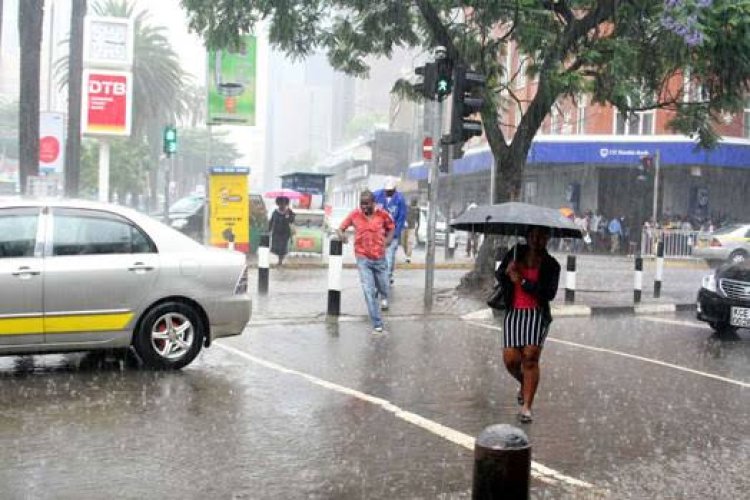Meteorological Department: Expect Above Normal Rainfall in March, April & May