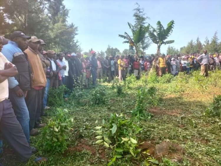 68- Year Old Woman Murdered  By Unknown Assailants In Kericho