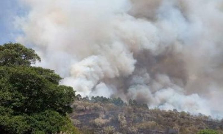 Three Forests Catch Fire in Nakuru County