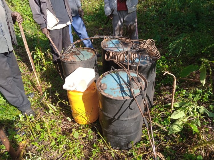 Illicit Brews Nabbed and Destroyed in Taboino Villlage, Bomet County