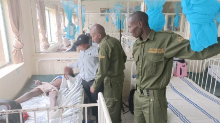 Four People Hospitalized after an Attack by Wild Animals in Laikipia West.