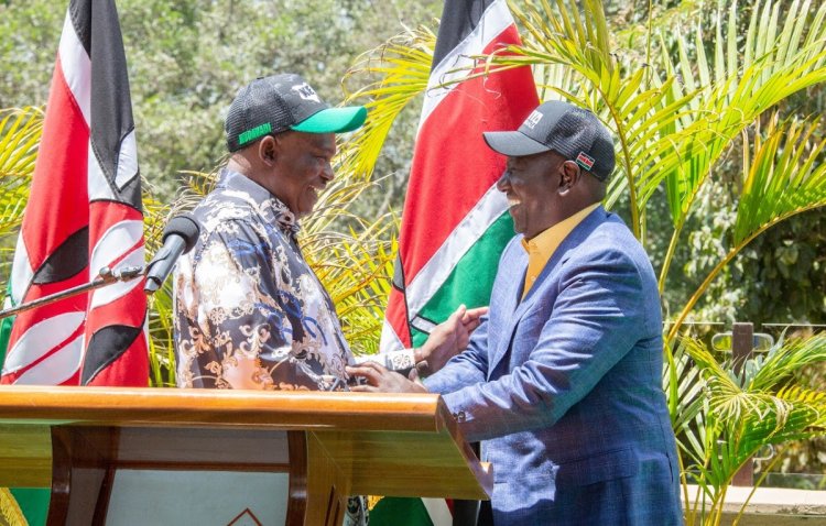 Political Parties Disputes Tribunal Bars Democratic Party’s Muturi from Promoting Kenya Kwanza