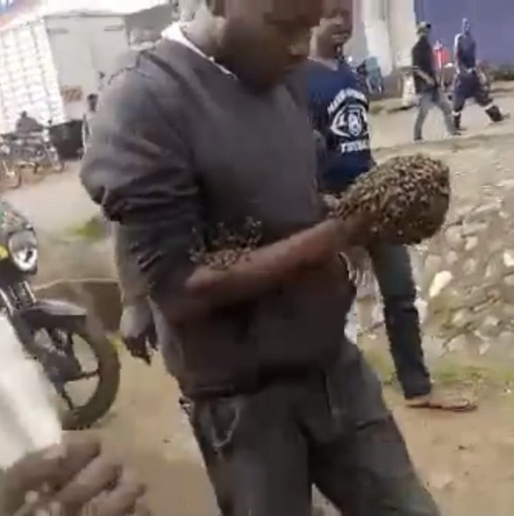 Witch doctor Unexpectedly Uses Bees to Rescue Police Officers in Kakamega