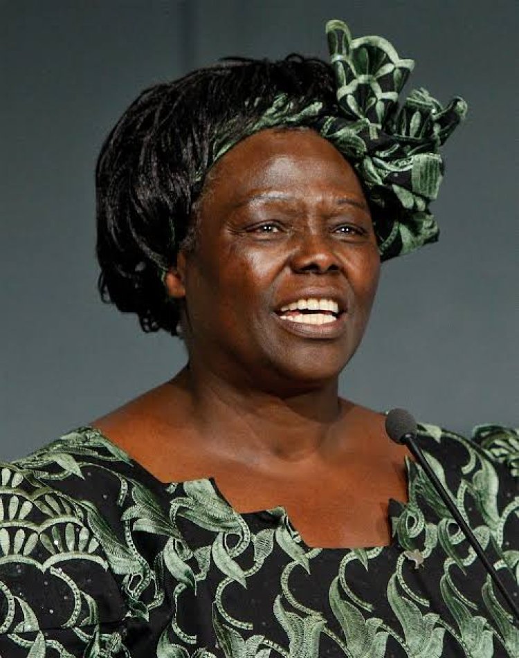 Why Late Wangari Mathai Is Trending on Social Media