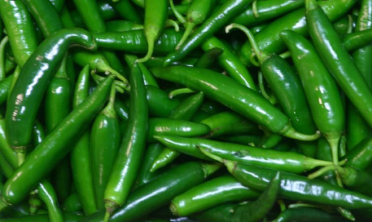 How to Grow Green Chilies in Your Backyard