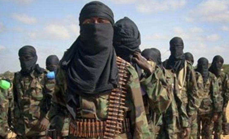 KDF Kill 10 Al Shabaab  Terrorists In Boni Forest, Lamu