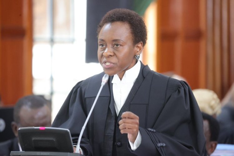 Advocate Julie`s Presentation Temporarily Disrupts Court's Proceedings