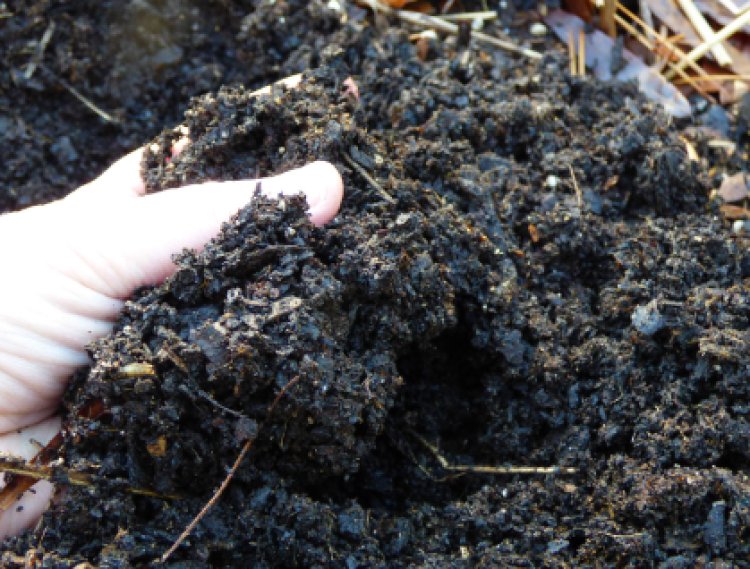 How to make Compost Manure from Scratch
