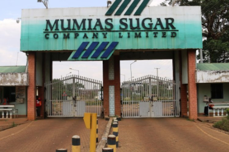 Ruto Pledges to Secure New Funding for Mumias Sugar