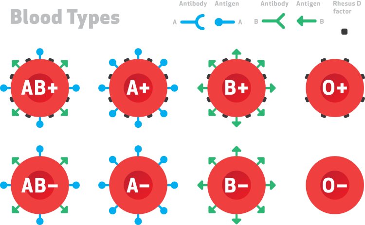 Blood Type Personality Test What Your Blood Type Reveals About