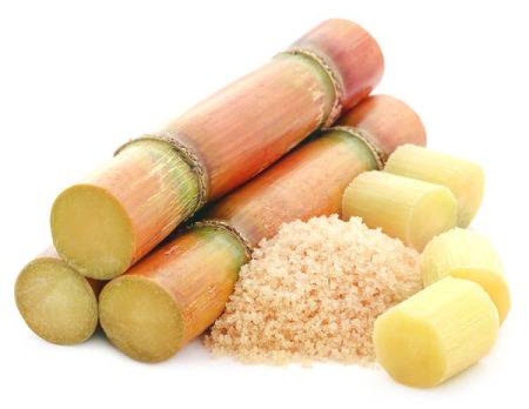 Relief To Sugarcane Farmers as Prices rise.